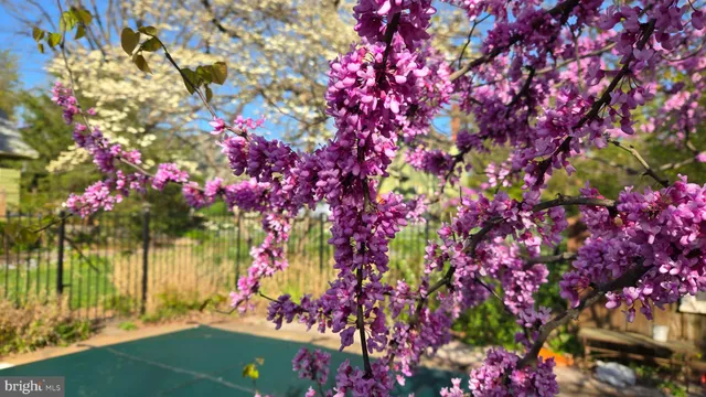 $799,900 | 802 South Blue Ridge Avenue, Culpeper, VA 22701