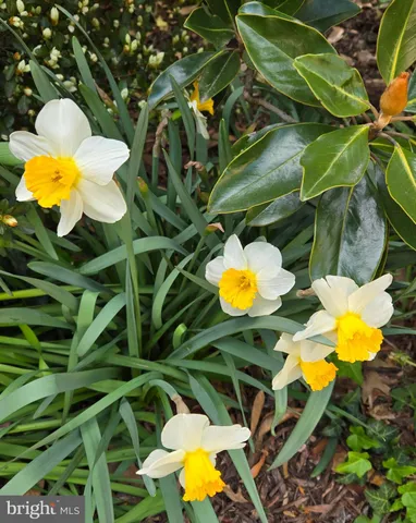 $799,900 | 802 South Blue Ridge Avenue, Culpeper, VA 22701