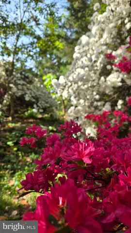 $799,900 | 802 South Blue Ridge Avenue, Culpeper, VA 22701