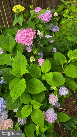 $799,900 | 802 South Blue Ridge Avenue, Culpeper, VA 22701