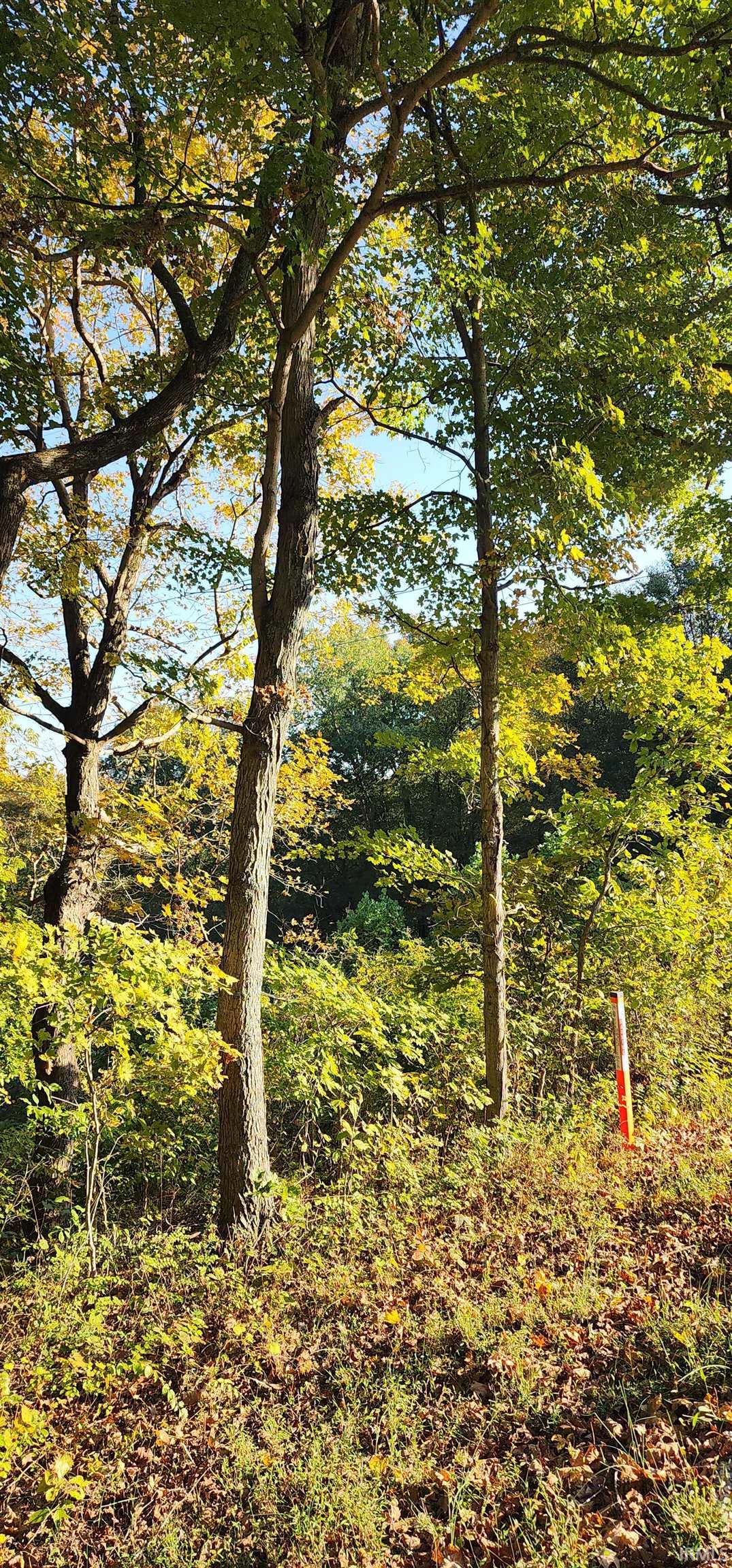 0 Brushy Fork Road Tell City, IN 47586 - Photo 16 of 30