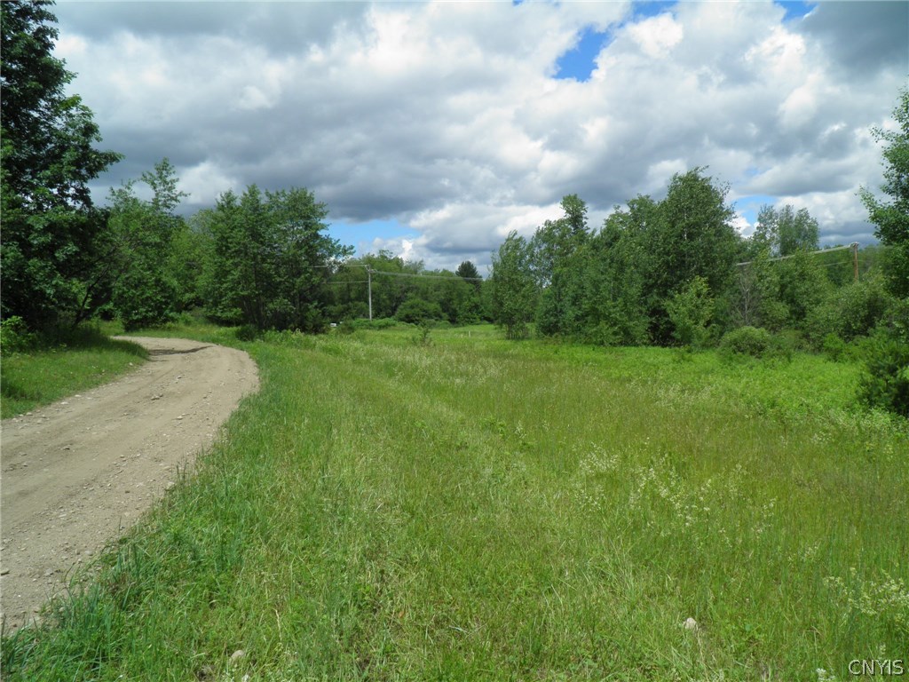 0 Burdicks Crossing Road Lyons Falls, NY 13368 - Photo 4 of 10 Gallery Image 4