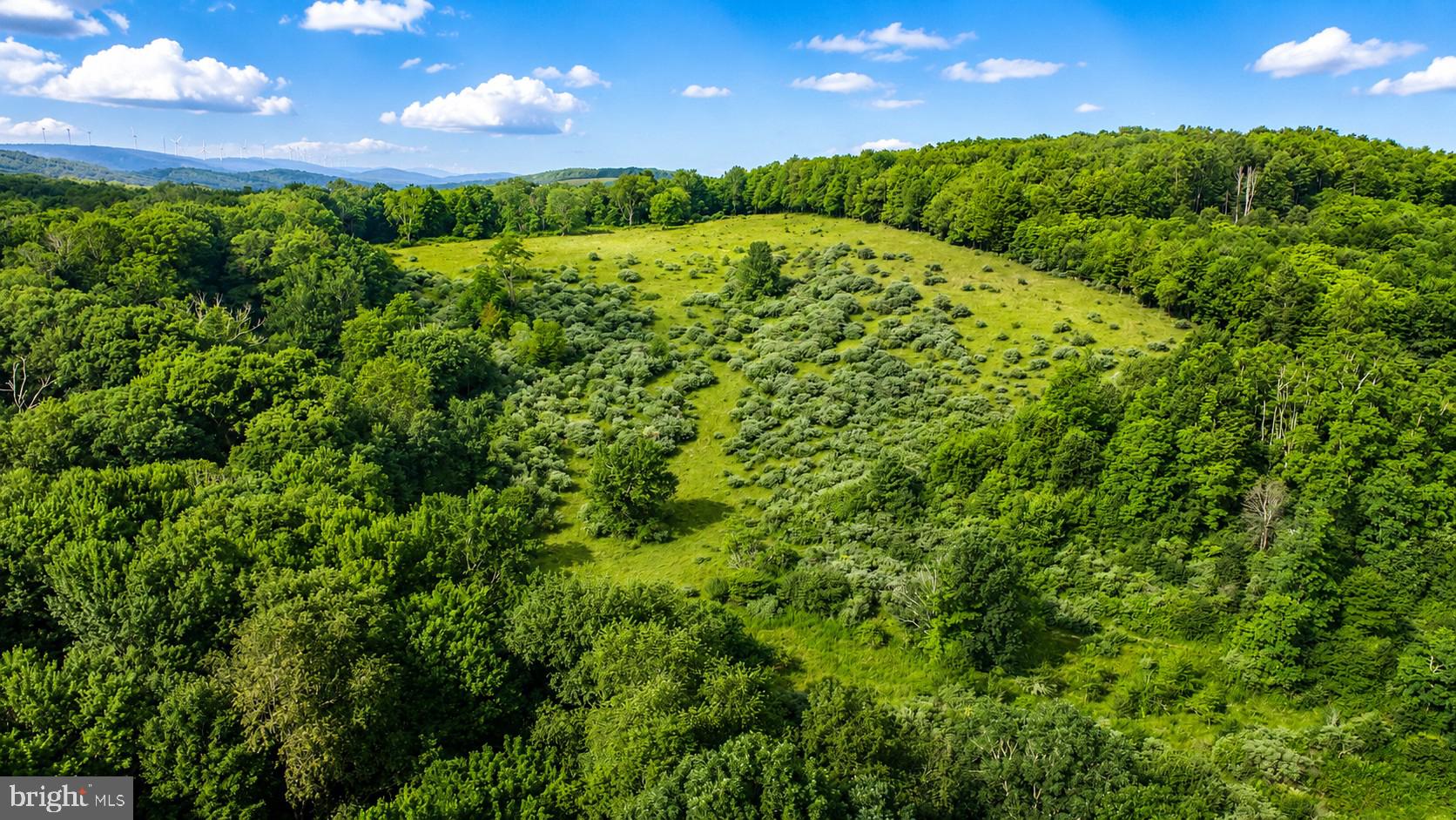 97-acres Lot C 97-acres Road Oakland, MD 21550 - Photo 18 of 21