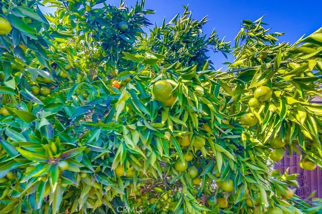 $735,000 | 247 West Park Avenue, San Ysidro, CA 92173