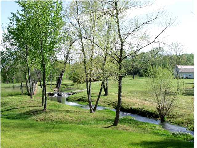 185 White Oak Valley Road Cleveland, TN 37312 - Photo 6 of 30 Additional Photo