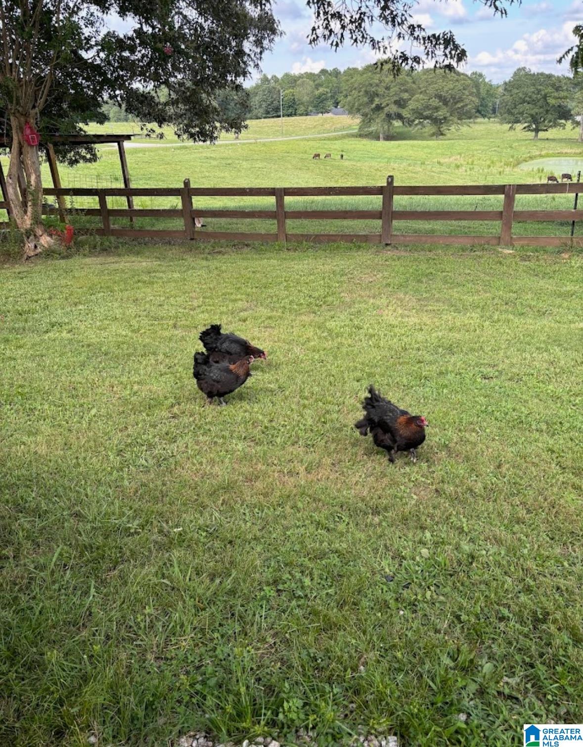2102 County Road 609 Wedowee, AL 36278 - Photo 31 of 63