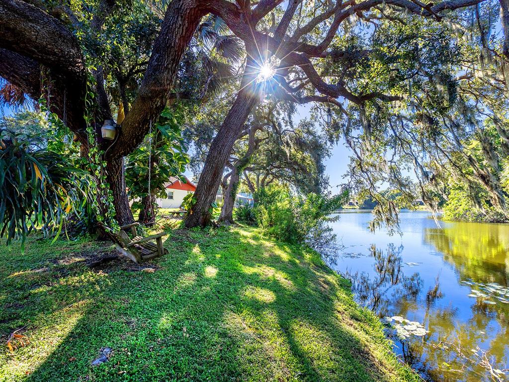 6502 Bikini Way Sarasota, FL 34241 - Photo 34 of 43 a view of a tree in a garden