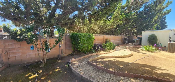 a view of a backyard
