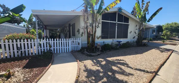 a view of backyard with a patio and plants