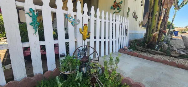 a view of a street with plants