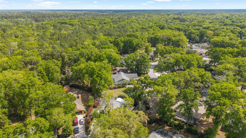 19040 Southwest 91st Lane Dunnellon, FL 34432 - Photo 4 of 70