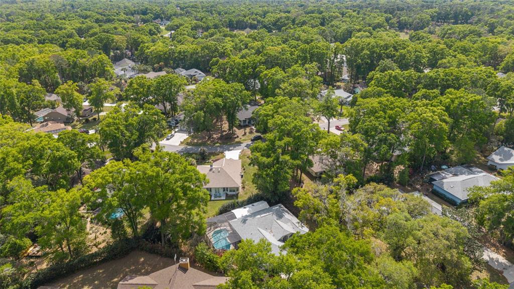 19040 Southwest 91st Lane Dunnellon, FL 34432 - Photo 50 of 70