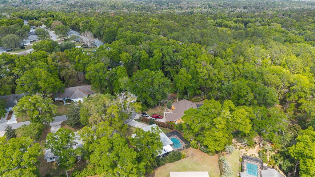 19040 Southwest 91st Lane Dunnellon, FL 34432 - Photo 51 of 70