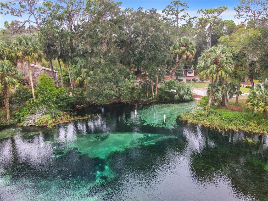 19040 Southwest 91st Lane Dunnellon, FL 34432 - Photo 68 of 70