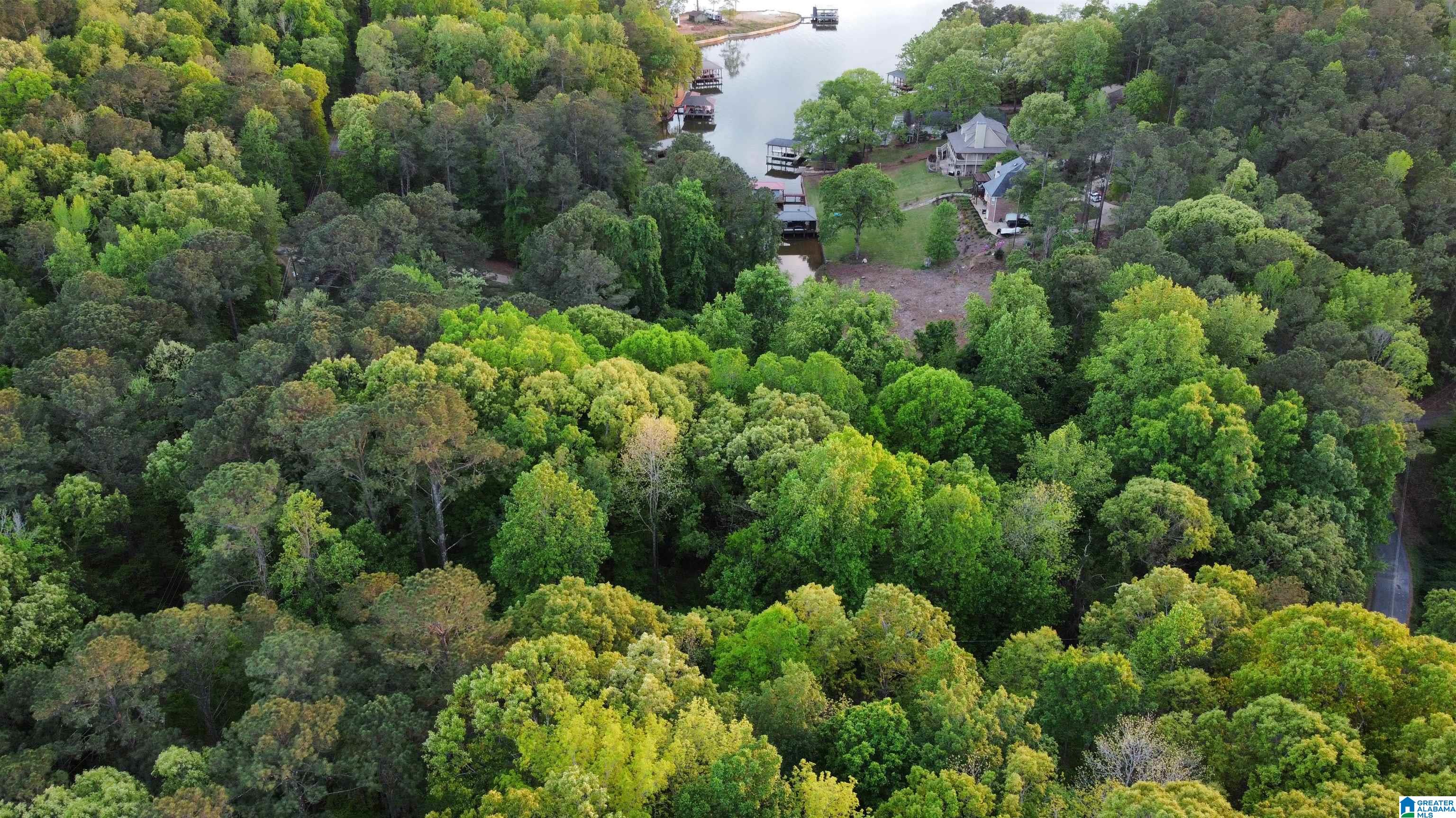 Lakeview Drive, Unit 53 Alpine, AL 35014 - Photo 15 of 35