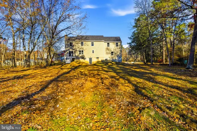 a view of road with large trees
