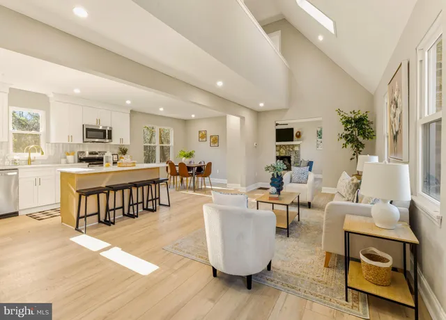 a living room with furniture a dining table and a potted plant