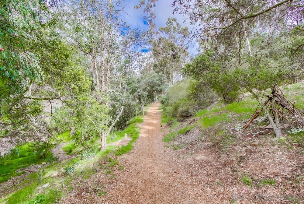 12128 Eagle Street San Diego, CA 92131 - Photo 37 of 37 a view of a pathway both side of yard
