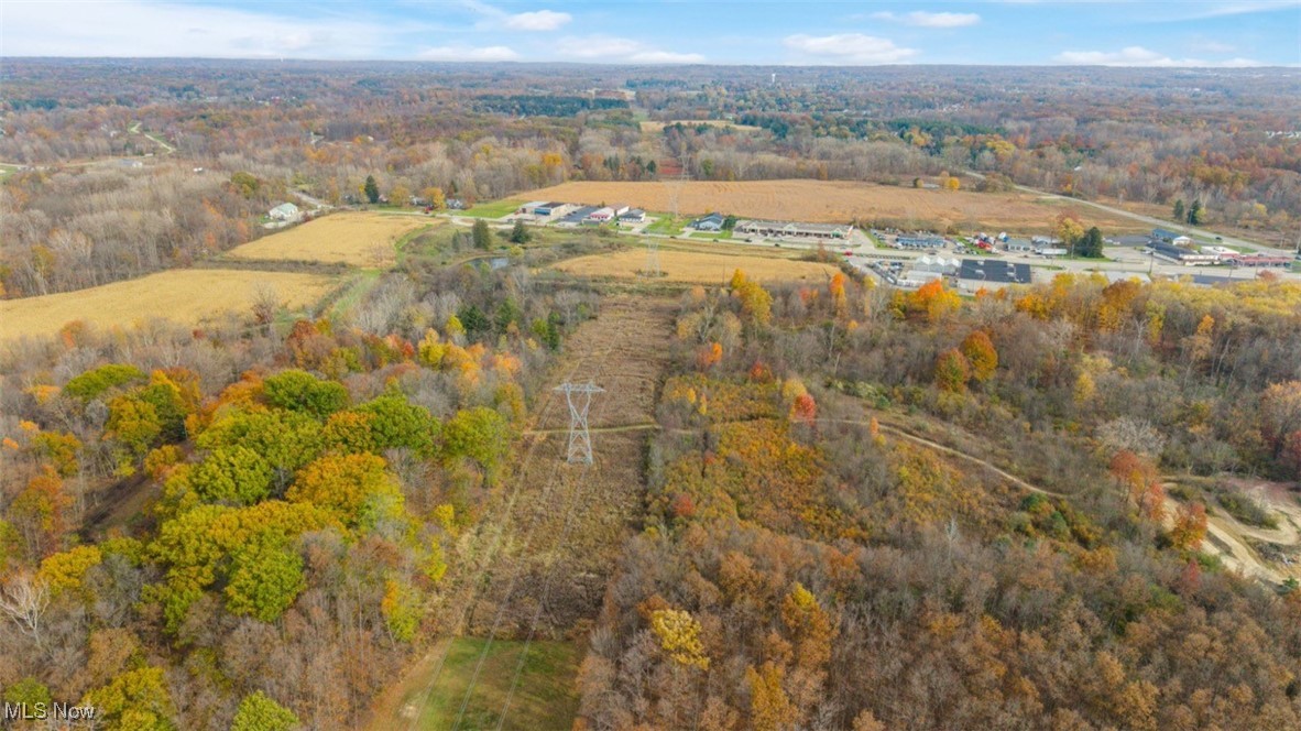 3652 Pearl Road Medina, OH 44256 - Photo 29 of 38 Birds eye view of property