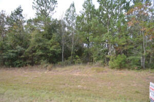 2154 Broome Road Hephzibah, GA 30815 - Photo 1 of 1 lot