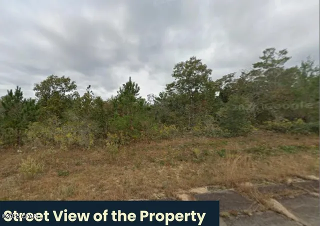 $7,490 | Lot 11 Bonita Drive, Chipley, FL 32428