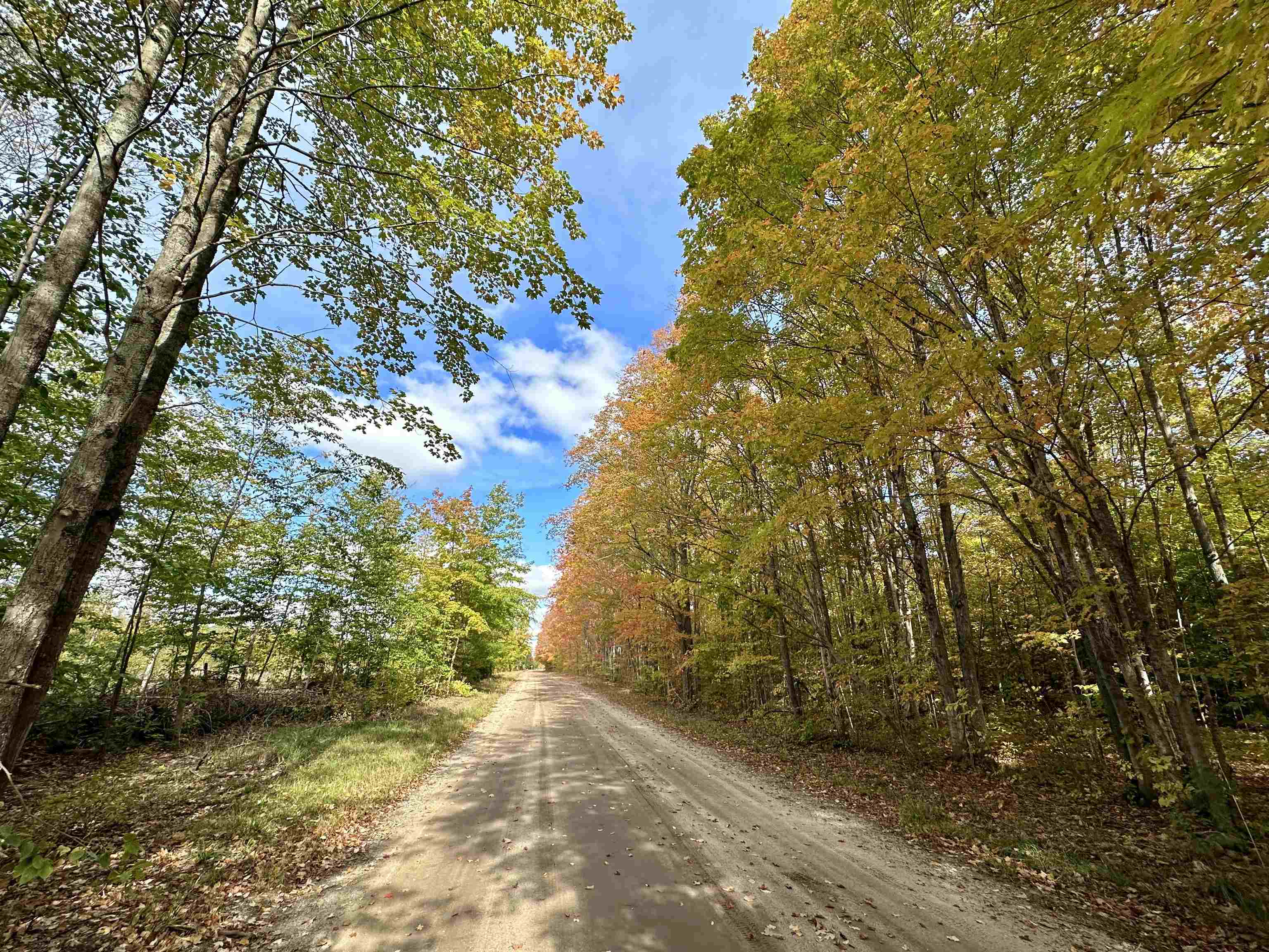 1306 South Weldon Road Beulah, MI 49617 - Photo 2 of 28