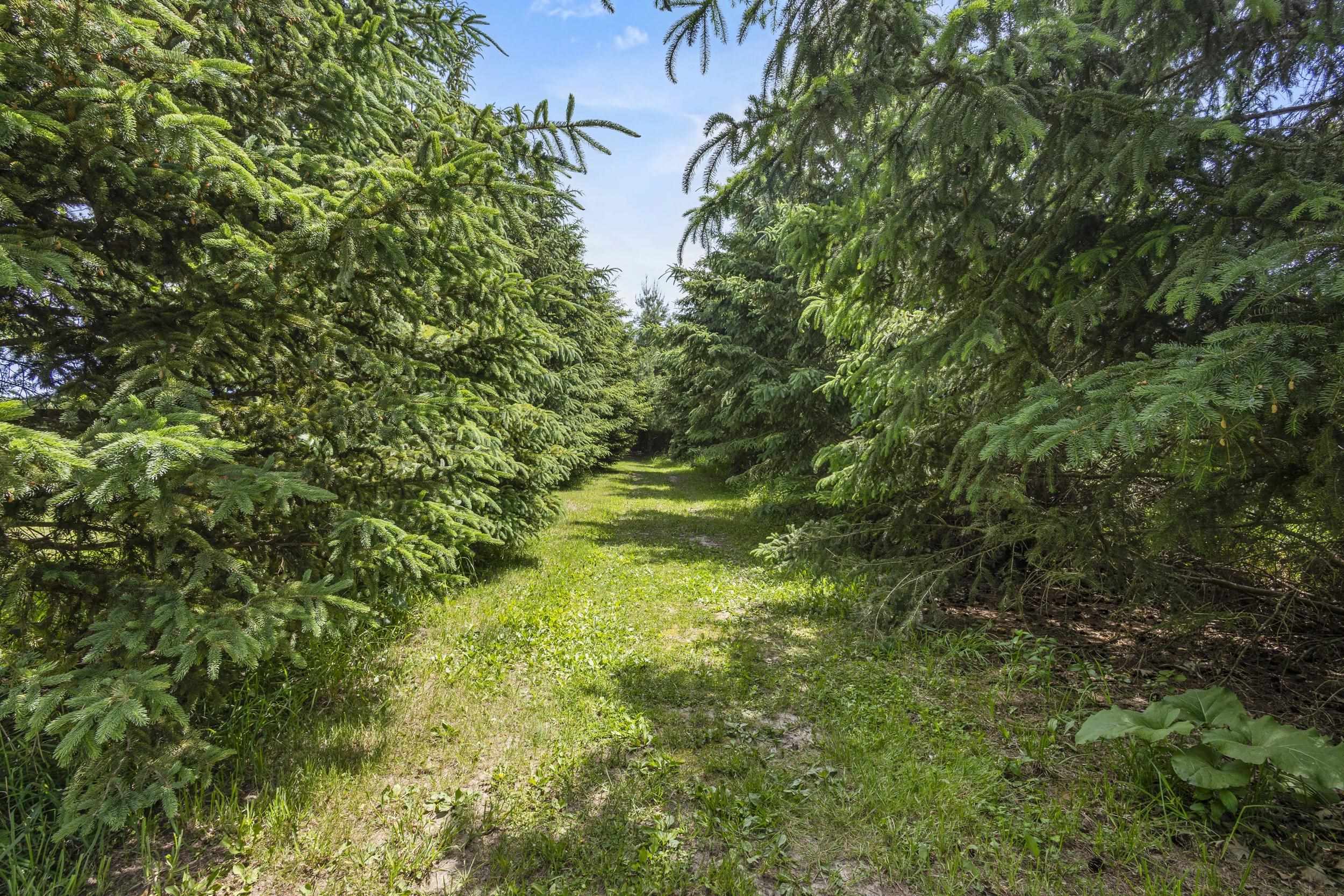 N7166 Forest Ridge Road Ripon, WI 54971 - Photo 62 of 70