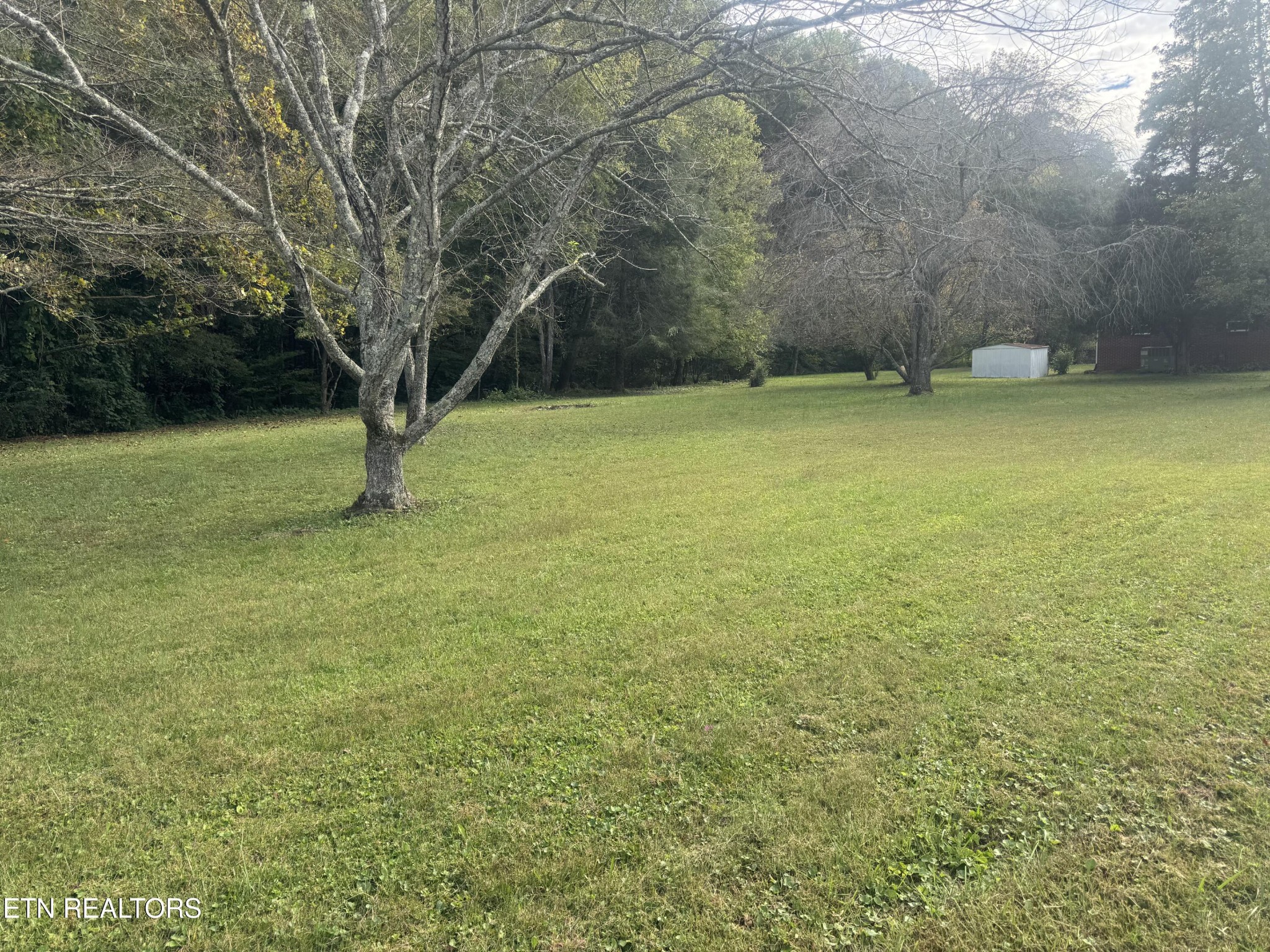 3341 West Wolf Valley Road Clinton, TN 37716 - Photo 3 of 41 a view of a yard with a tree