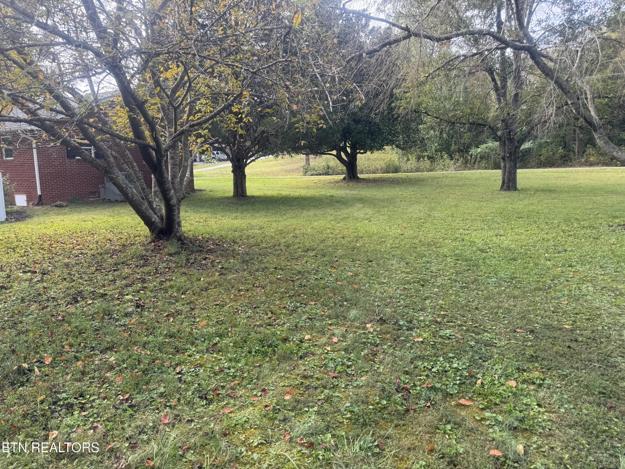 3341 West Wolf Valley Road Clinton, TN 37716 - Photo 35 of 41 a view of yard with tree