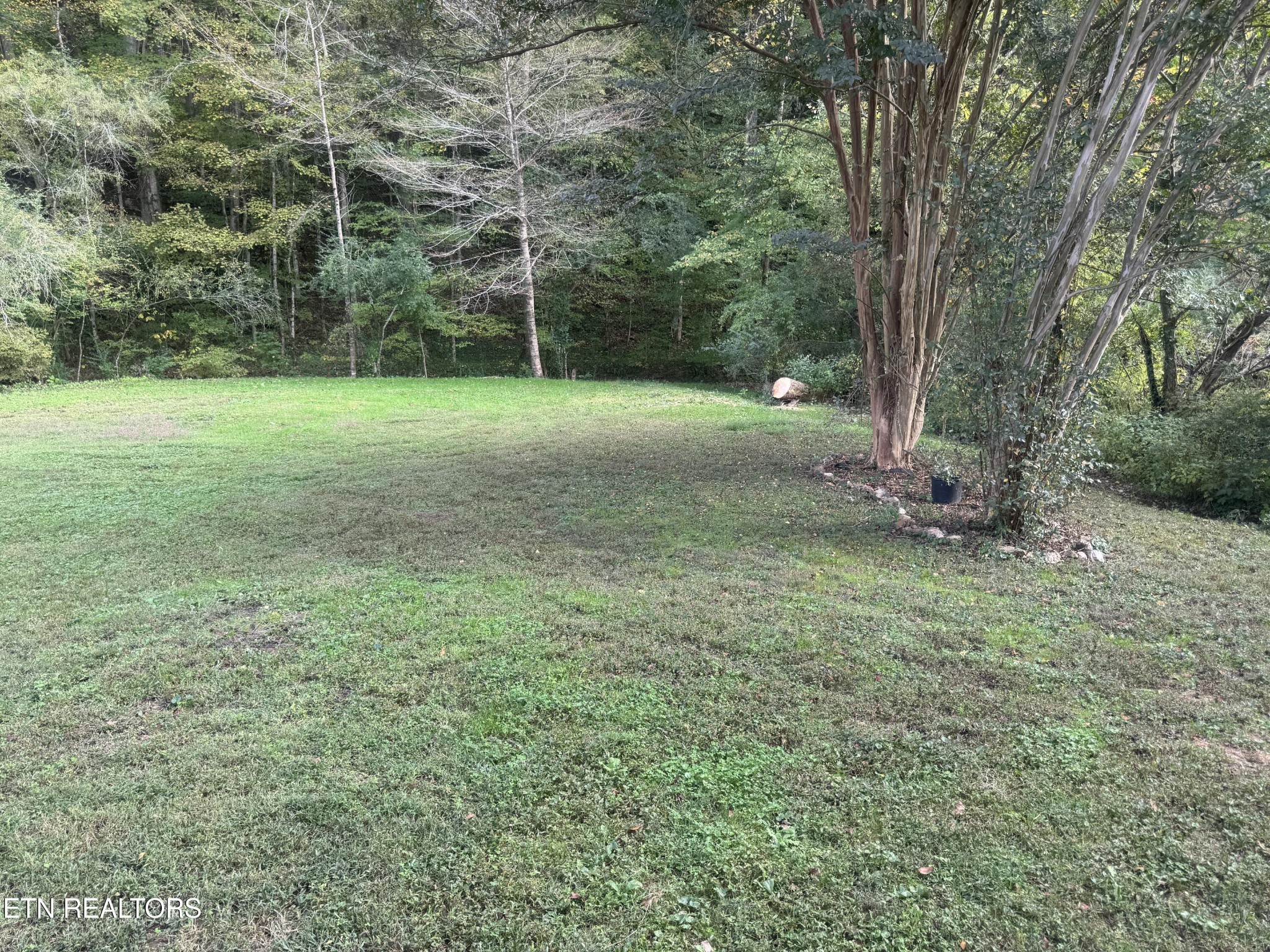 3341 West Wolf Valley Road Clinton, TN 37716 - Photo 38 of 41 a view of a green field with trees in the background