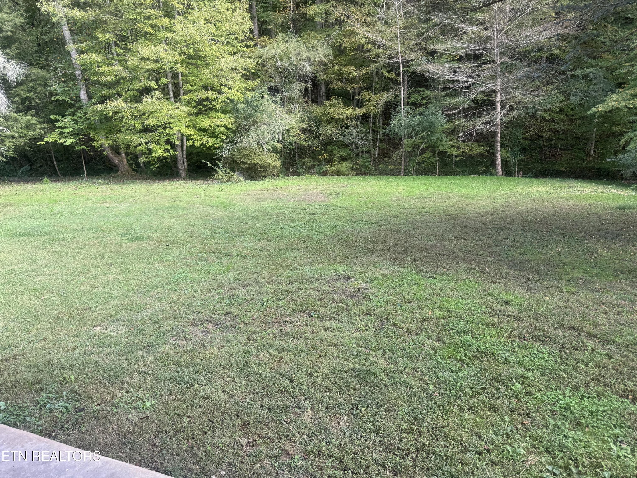 3341 West Wolf Valley Road Clinton, TN 37716 - Photo 39 of 41 a view of a trees in a field