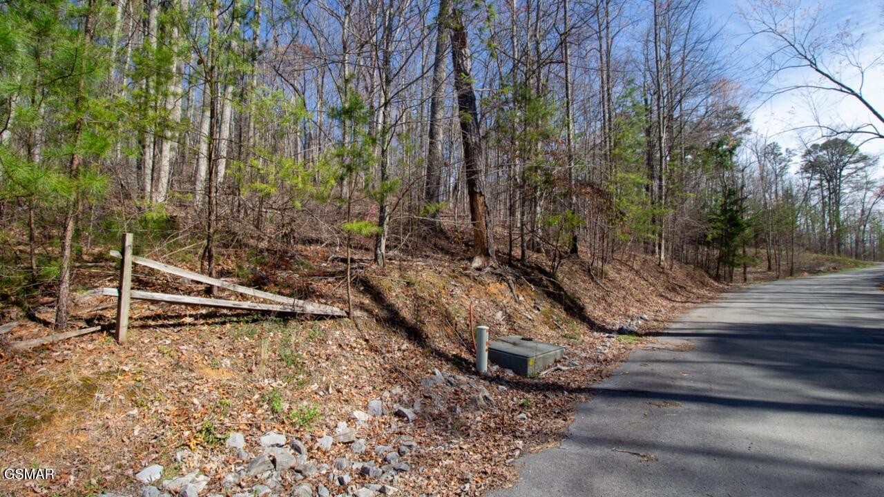 2 Lone Ridge Drive Sevierville, TN 37862 - Photo 6 of 9