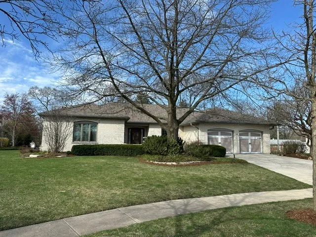 a view of a backyard with potted plants and a large tree