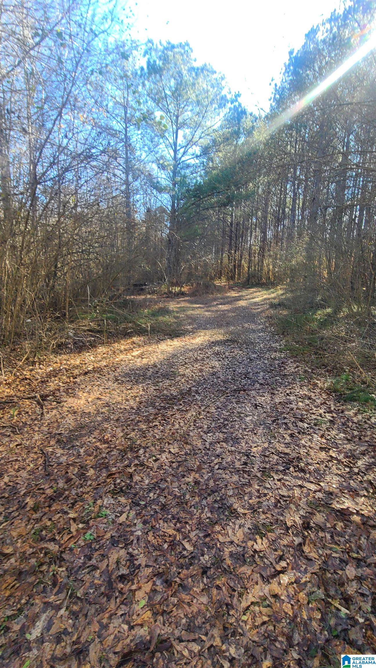 0 Jeremy Lane, Unit 1 Lincoln, AL 35096 - Photo 2 of 6
