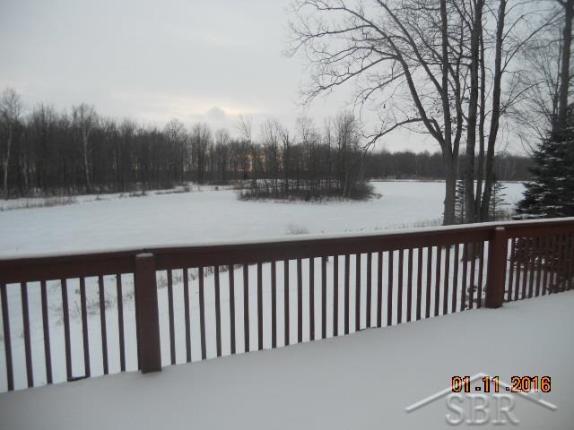 3249 South Homer Road Merrill, MI 48637 - Photo 16 of 18 View of lake