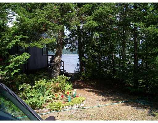 Yard/Garden.