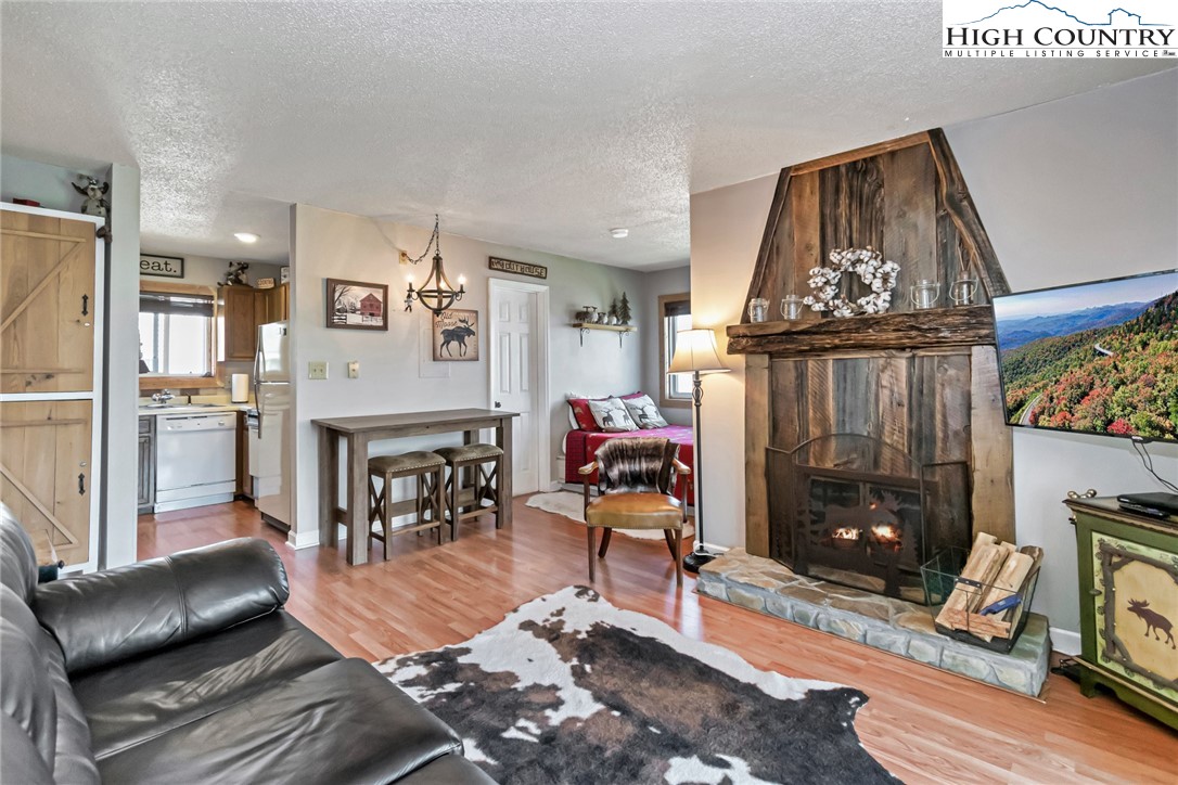 301 Pinnacle Inn Road, Unit 1301 Beech Mountain, NC 28604 - Photo 3 of 47 Gallery Image 3