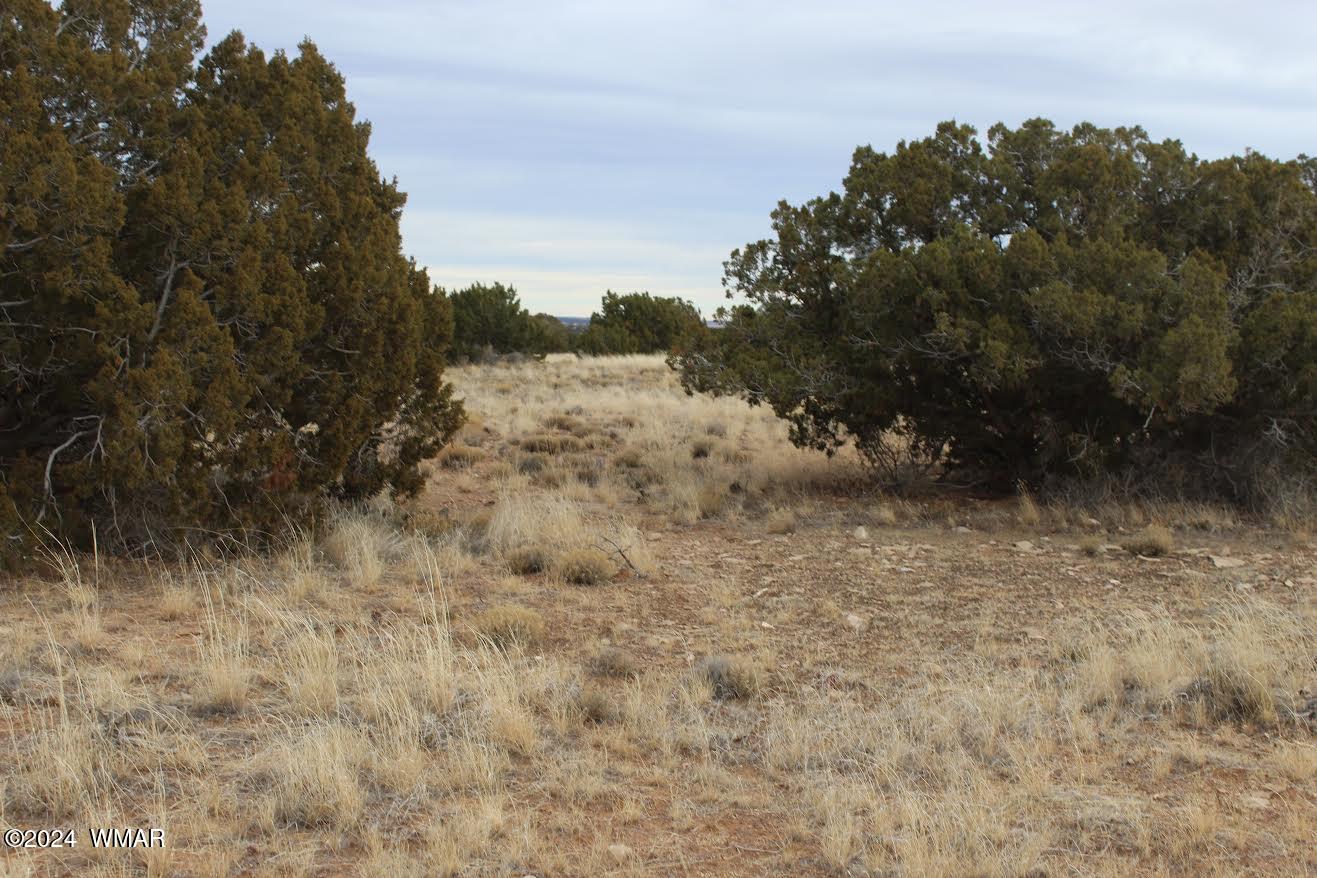 5151 Rockwell Road Heber, AZ 85928 - Photo 1 of 3 Lot