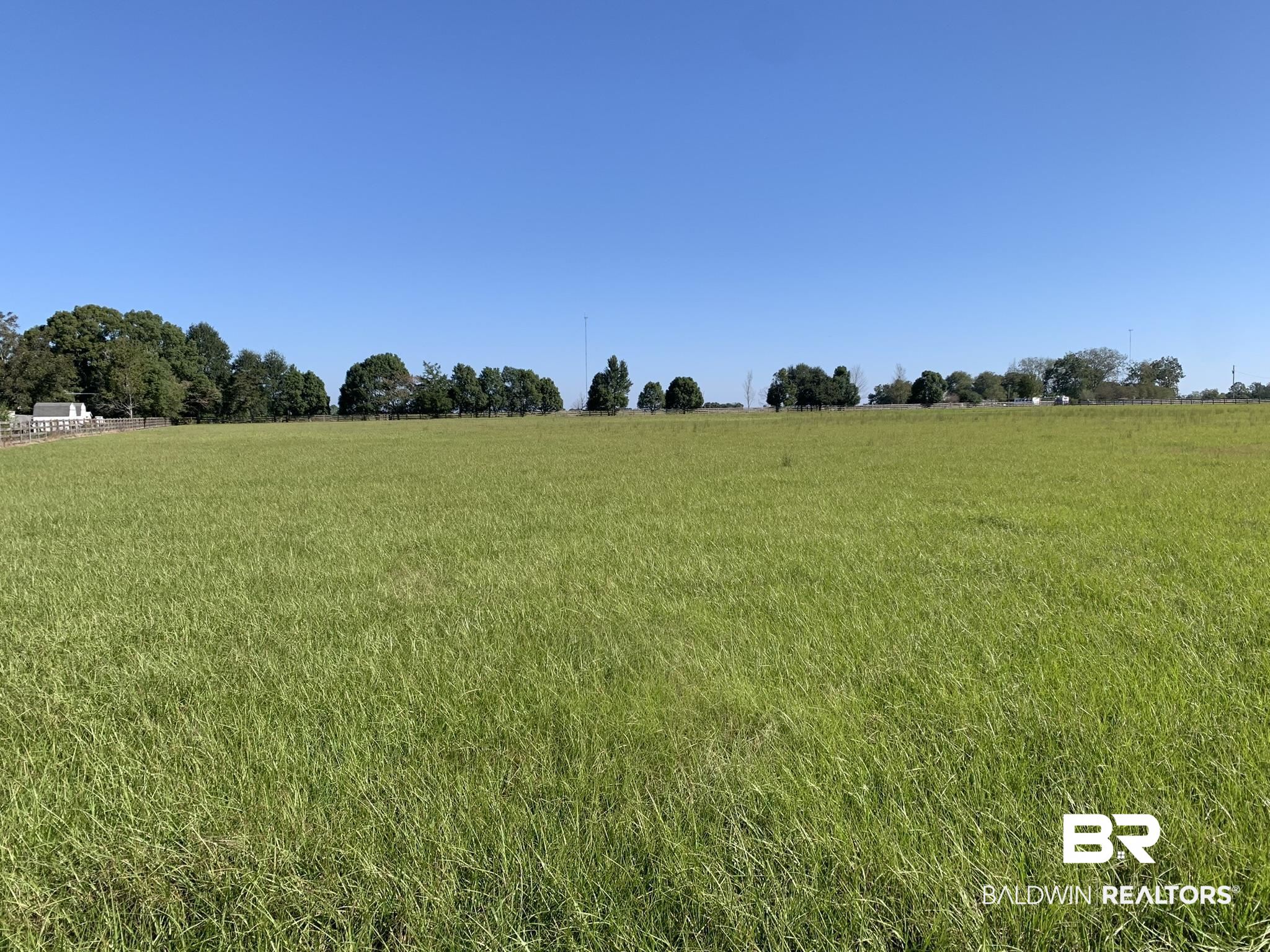 21239 Highway 90 Robertsdale, AL 36567 - Photo 1 of 3 View of landscape featuring a rural view