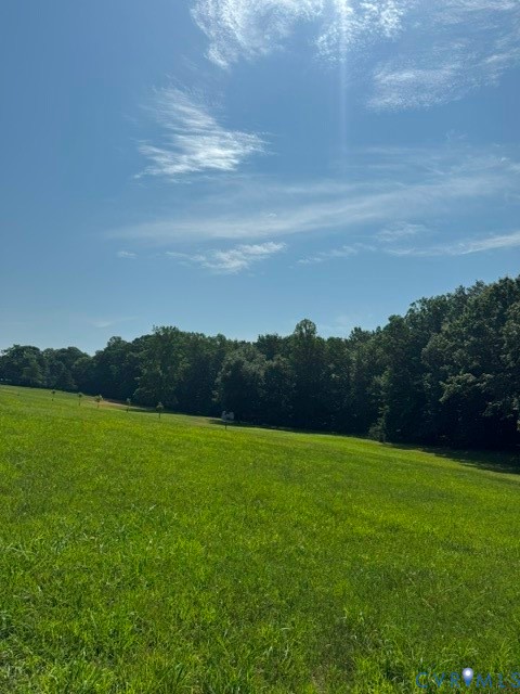 1927 Five Forks Road Pamplin, VA 23958 - Photo 10 of 42