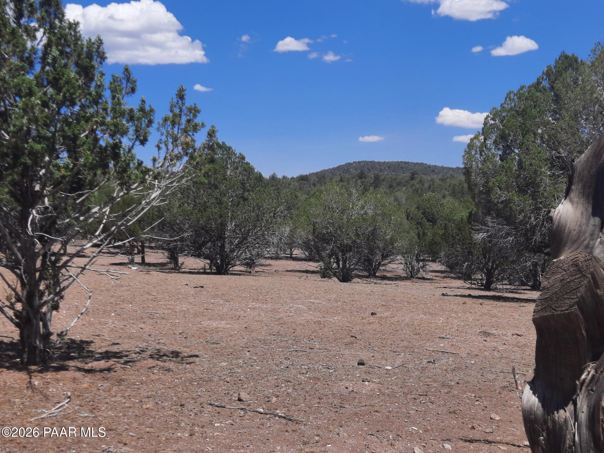 44050 West Fort Rock Road Seligman, AZ 86337 - Photo 43 of 46 20260616_113106