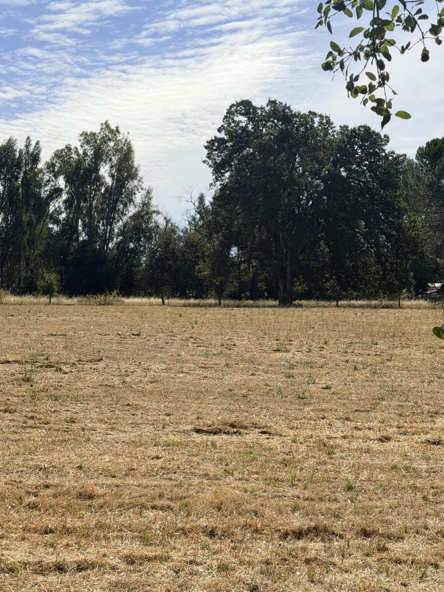 Deschutes Road Palo Cedro, CA 96073 - Photo 3 of 3 Ready to Build