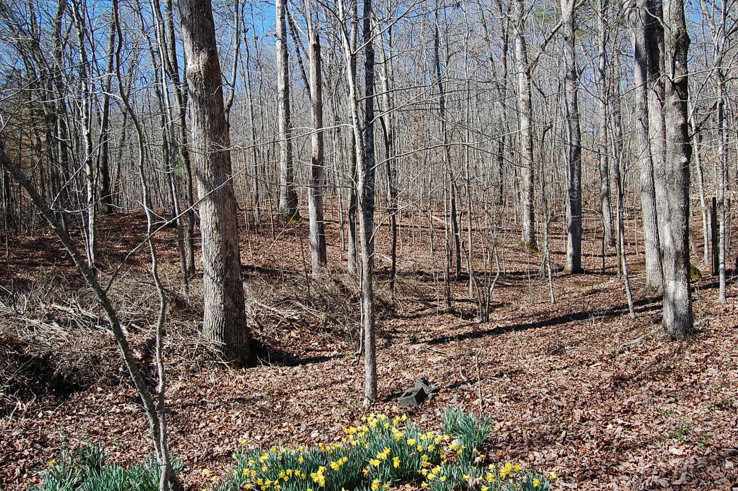 5 Pickett Cross Road Whitwell, TN 37397 - Photo 1 of 36 Gallery Image 1