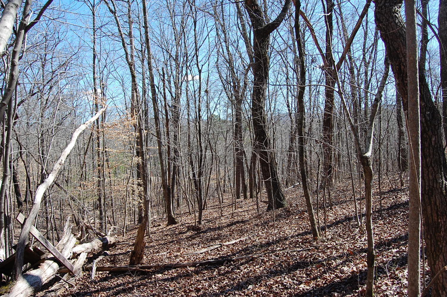 5 Pickett Cross Road Whitwell, TN 37397 - Photo 16 of 36 Gallery Image 16