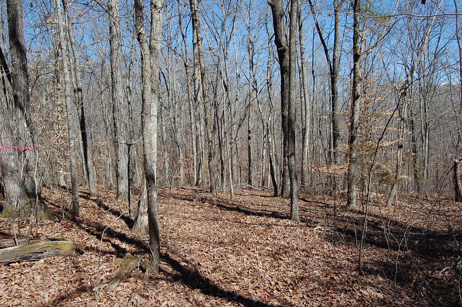 5 Pickett Cross Road Whitwell, TN 37397 - Photo 20 of 36 Gallery Image 20