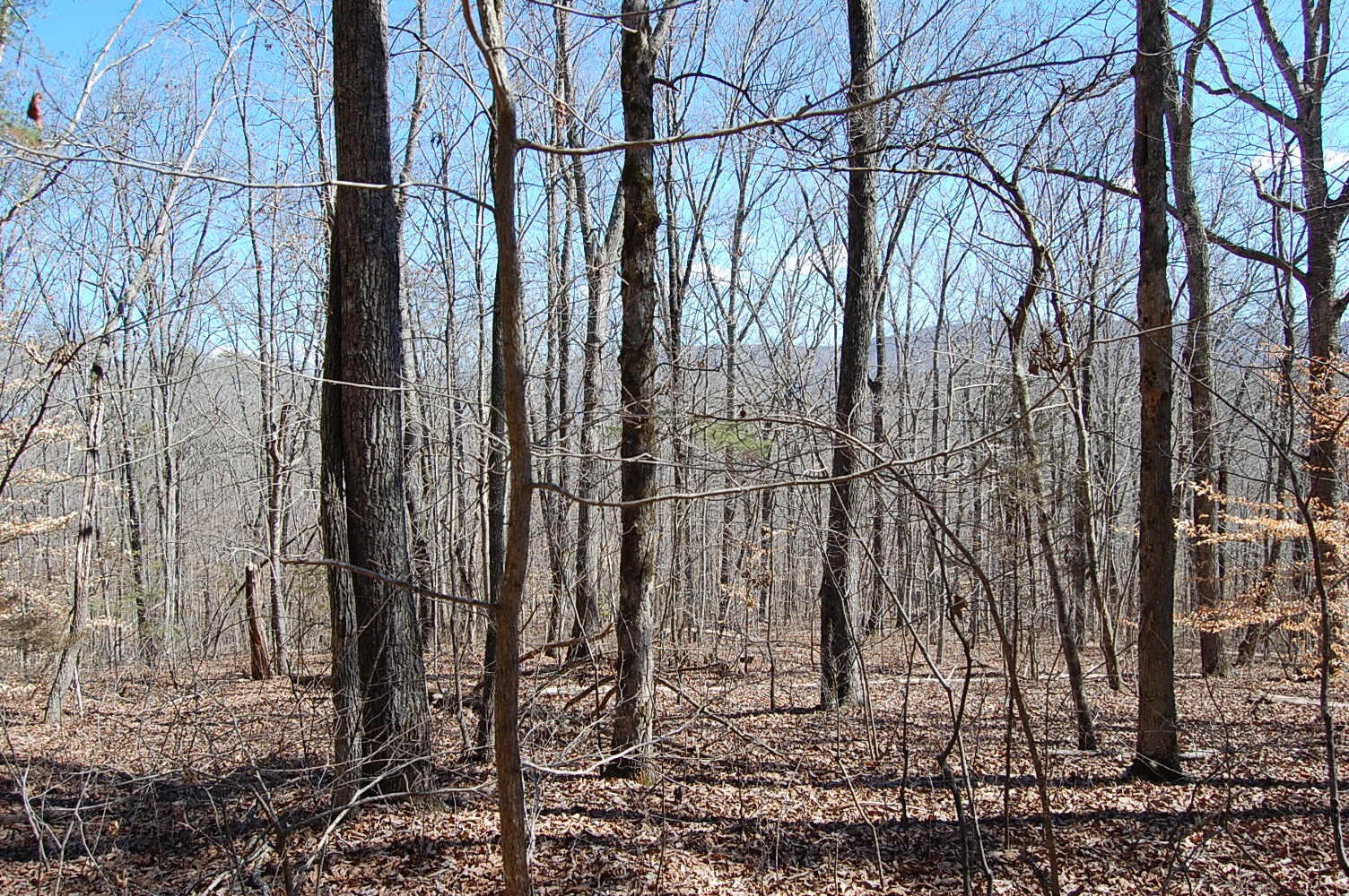 5 Pickett Cross Road Whitwell, TN 37397 - Photo 21 of 36 Gallery Image 21