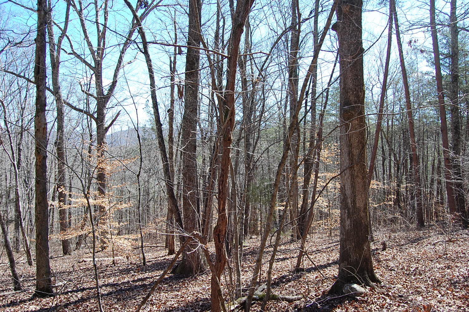 5 Pickett Cross Road Whitwell, TN 37397 - Photo 22 of 36 Gallery Image 22