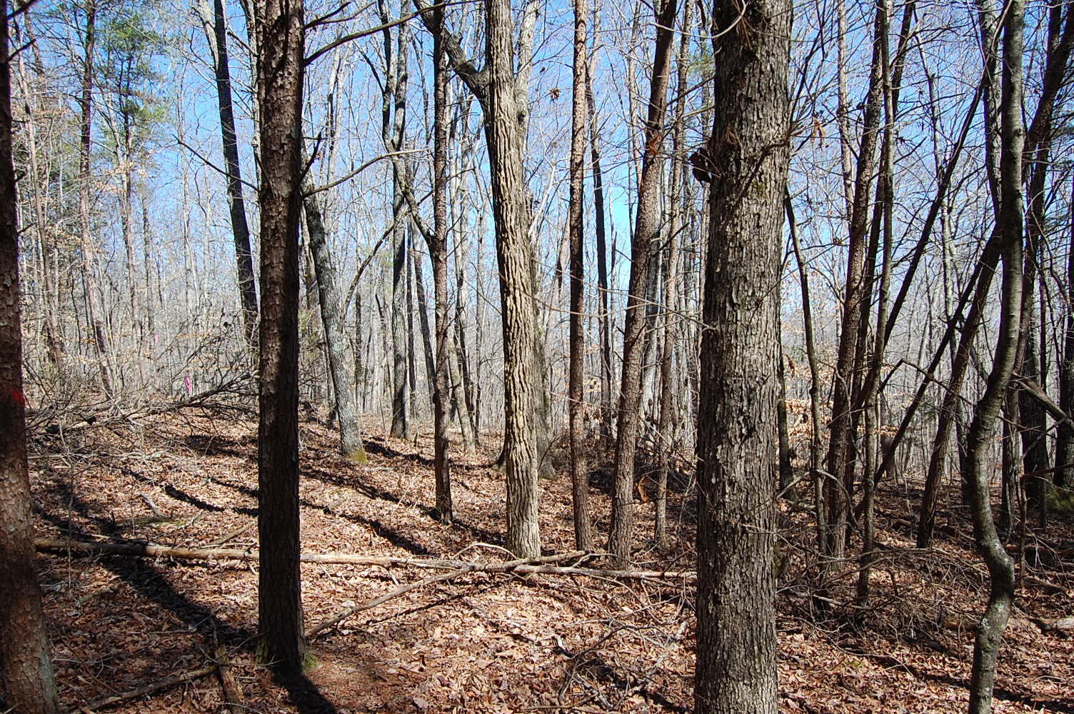 5 Pickett Cross Road Whitwell, TN 37397 - Photo 24 of 36 Gallery Image 24