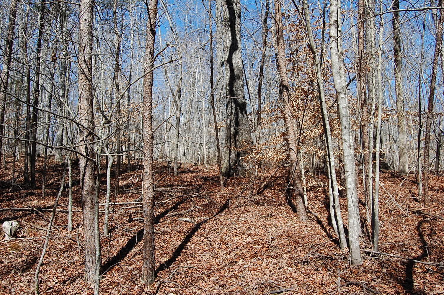 5 Pickett Cross Road Whitwell, TN 37397 - Photo 30 of 36 Gallery Image 30
