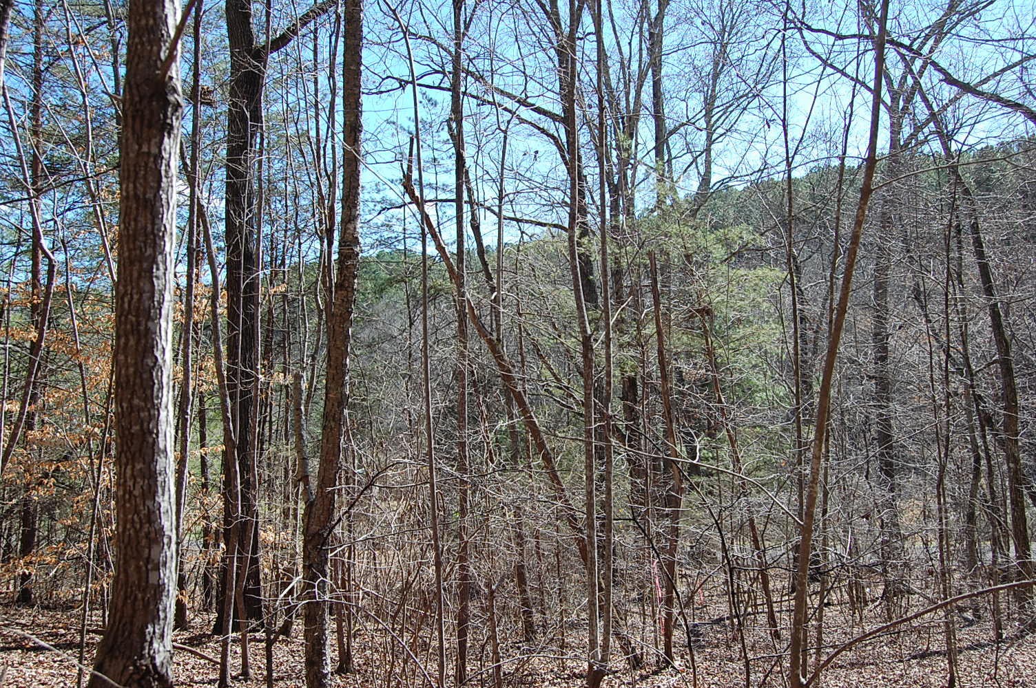 5 Pickett Cross Road Whitwell, TN 37397 - Photo 32 of 36 Gallery Image 32